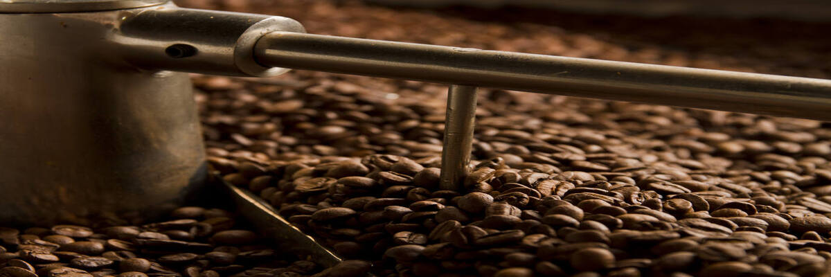 como armazenar café em grãos